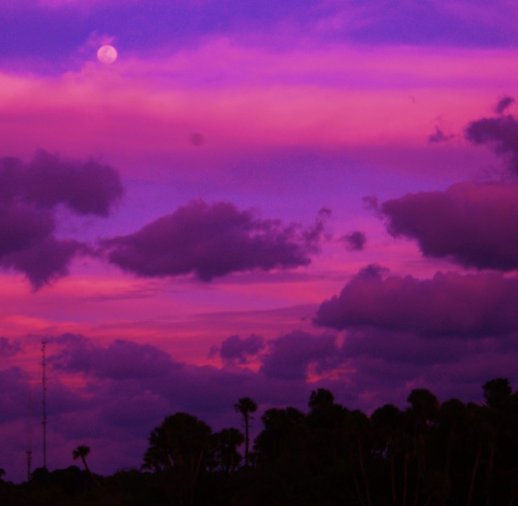 KODAK Digital Still Camera