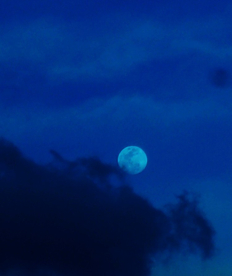 KODAK Digital Still Camera