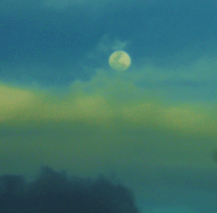 KODAK Digital Still Camera