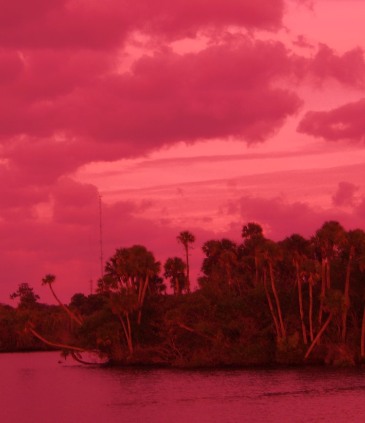 KODAK Digital Still Camera