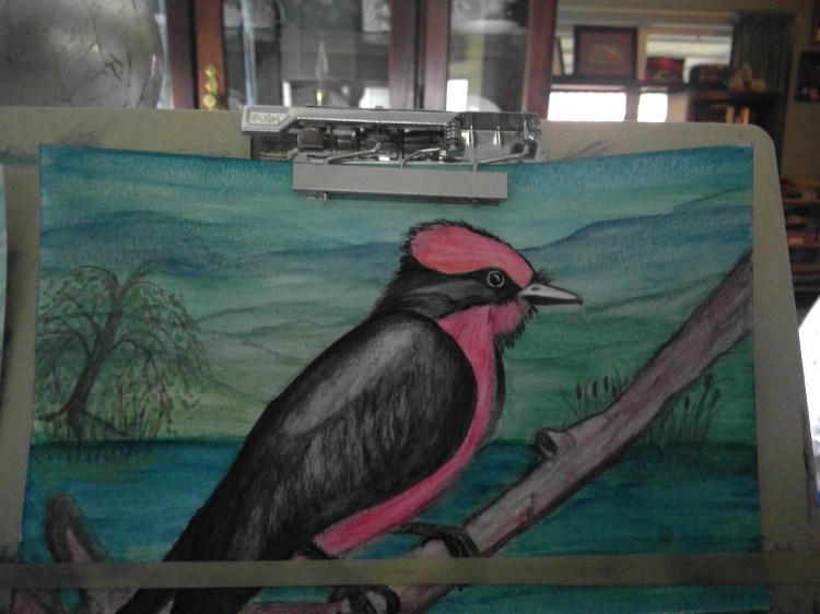 win_20160810_15_57_16_pro