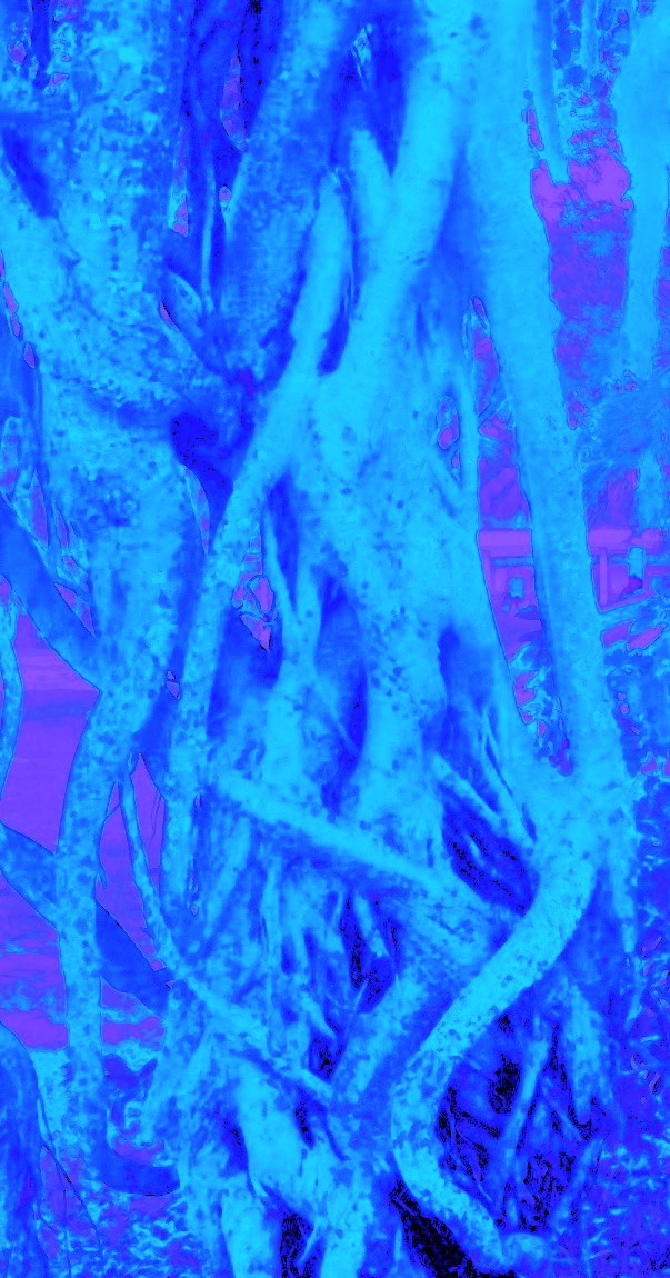 win_20160913_11_48_21_pro-6