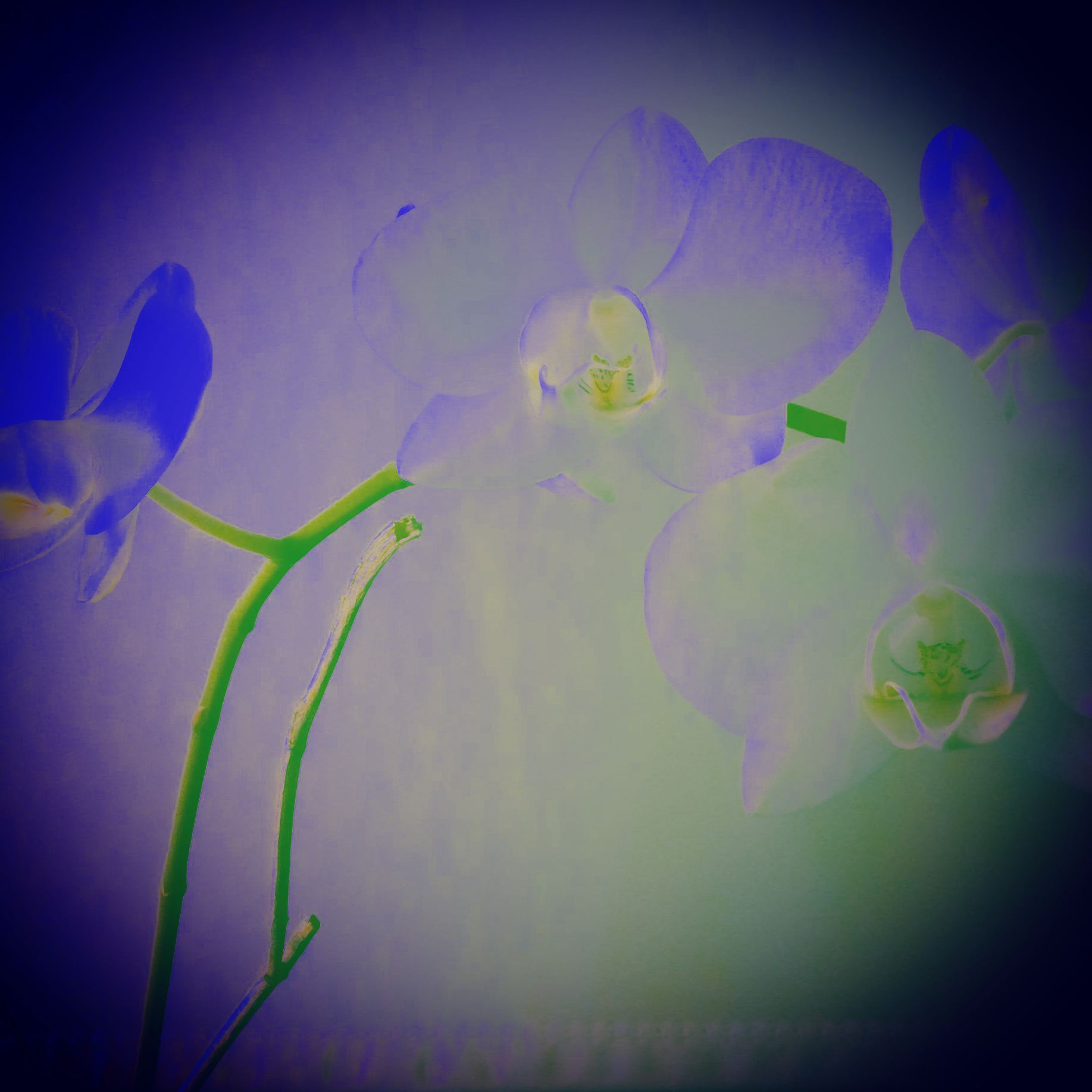 B354F1B7-DA18-458E-8F65-2D5FC5381588