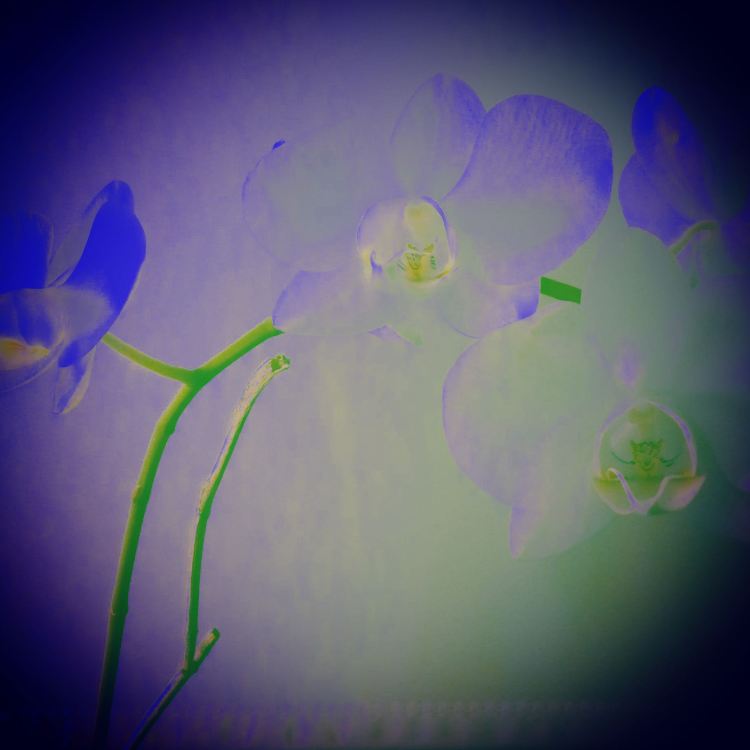 B354F1B7-DA18-458E-8F65-2D5FC5381588