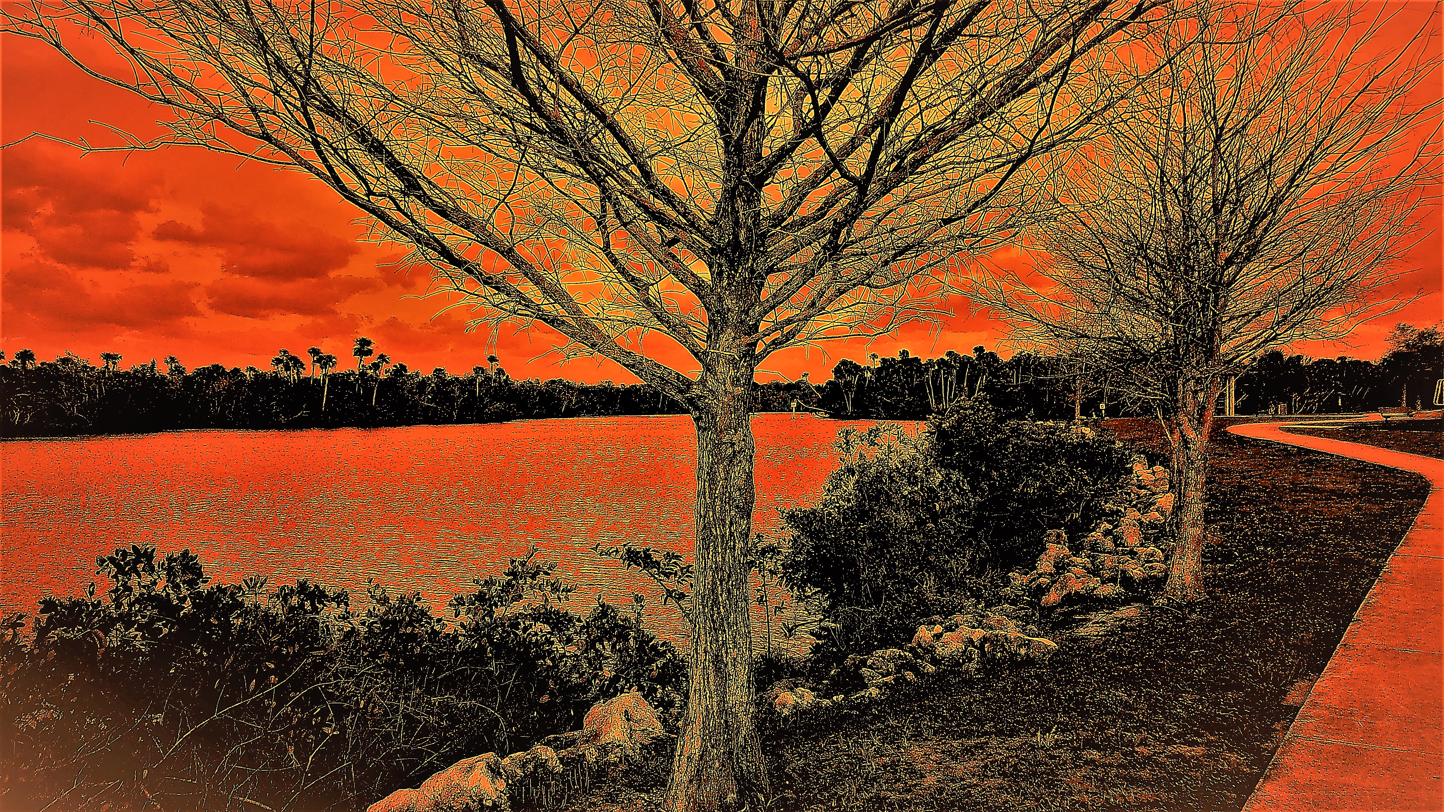 KODAK Digital Still Camera