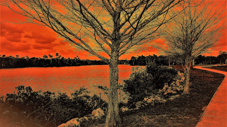 KODAK Digital Still Camera