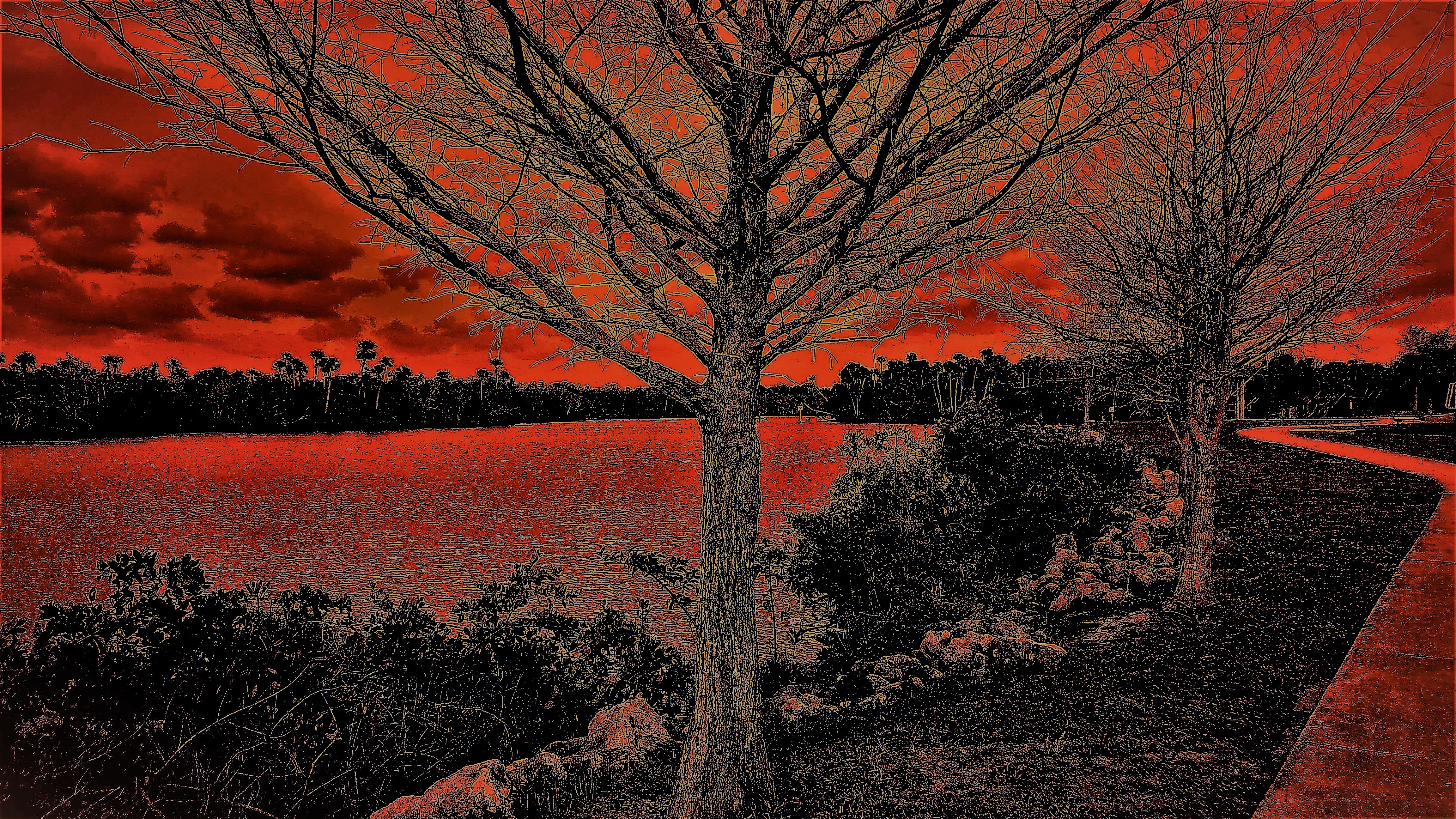 KODAK Digital Still Camera