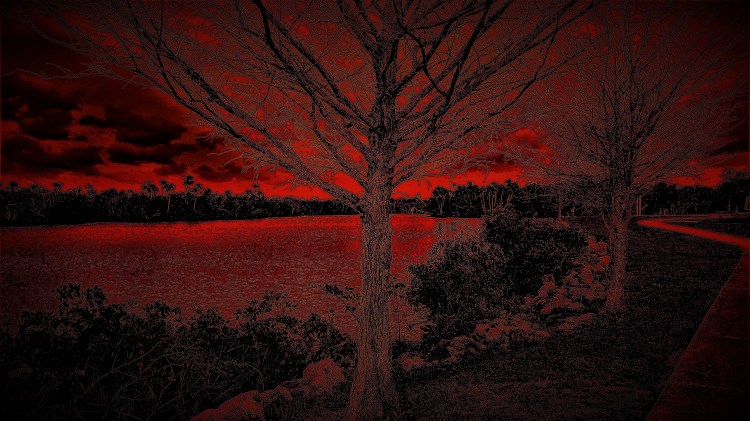 KODAK Digital Still Camera