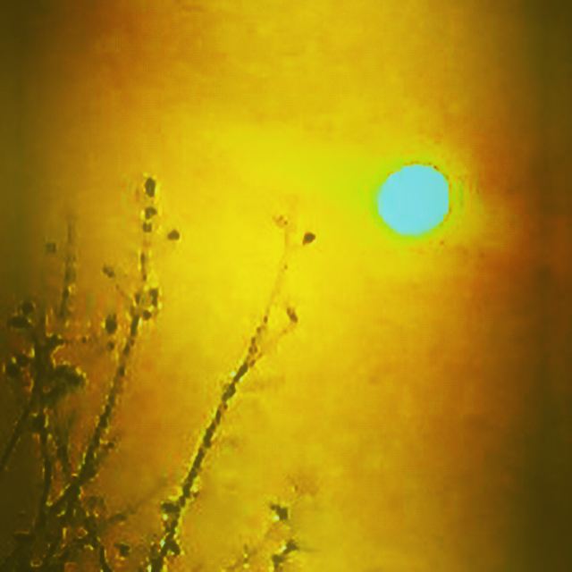 6BFFBEA4-D1D4-4379-8C66-BE311EEABC97