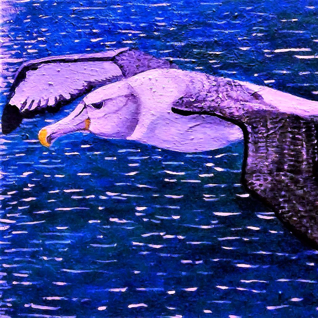 705C1AB2-A192-4DDE-B11E-D77F8CF26DE4