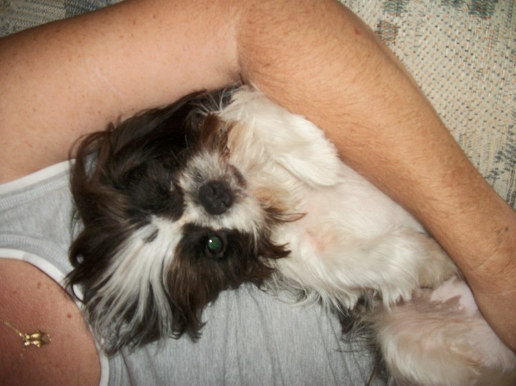 Artwork and Pictures 020