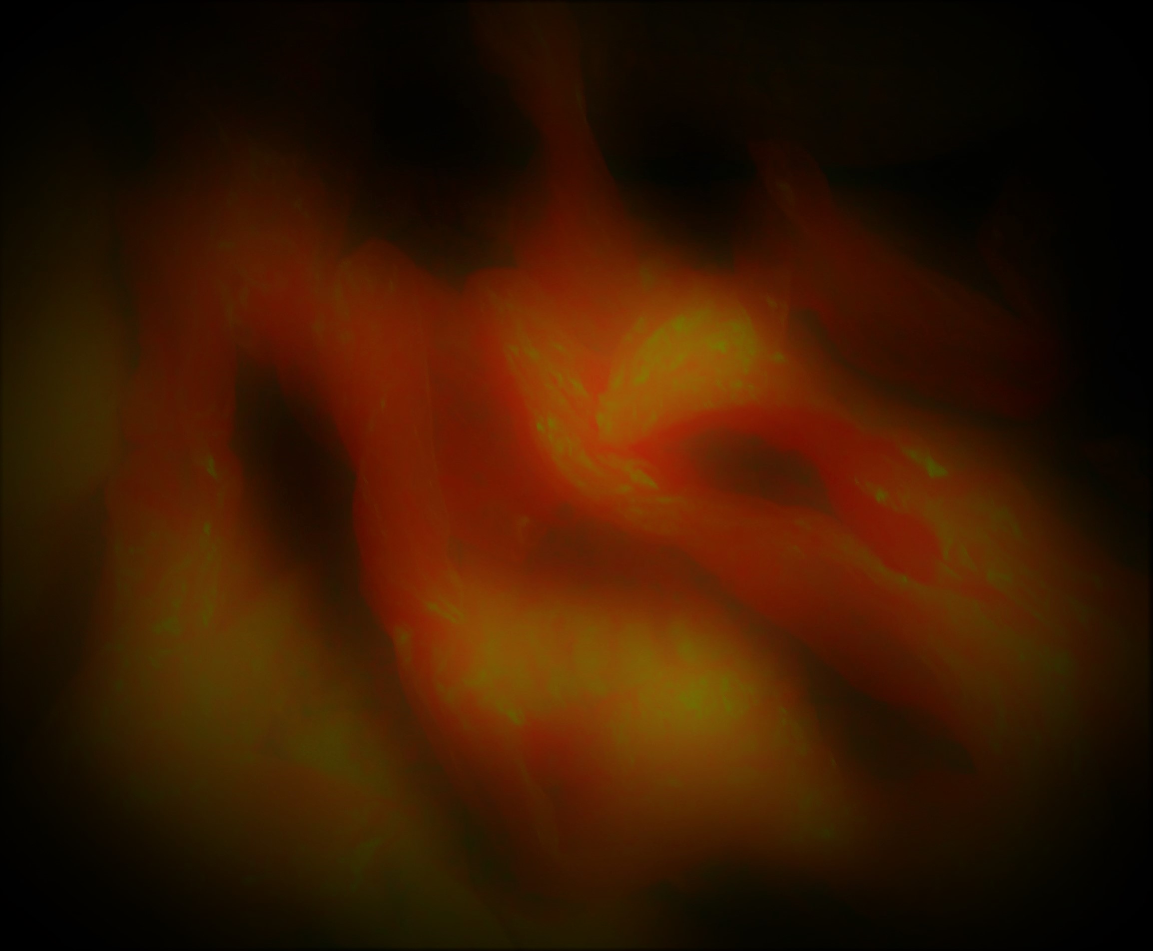 WIN_20200409_19_42_18_Pro (6)
