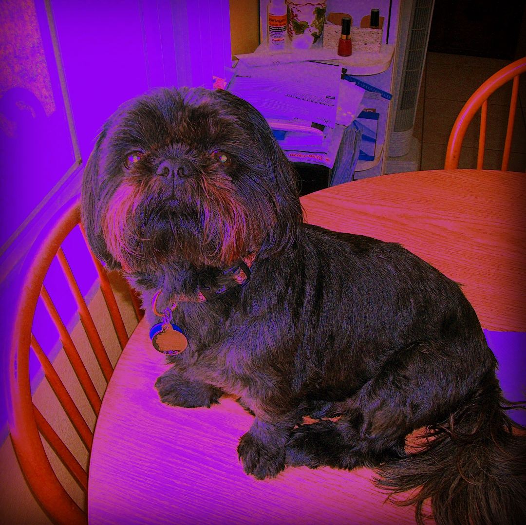 3D0E4E9E-4112-4873-9B74-C8D27E8CE8F0