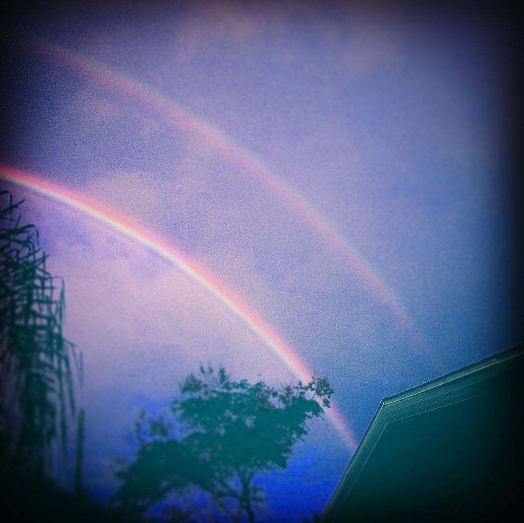 I Miss What I Imagined I would&nbsp;Miss