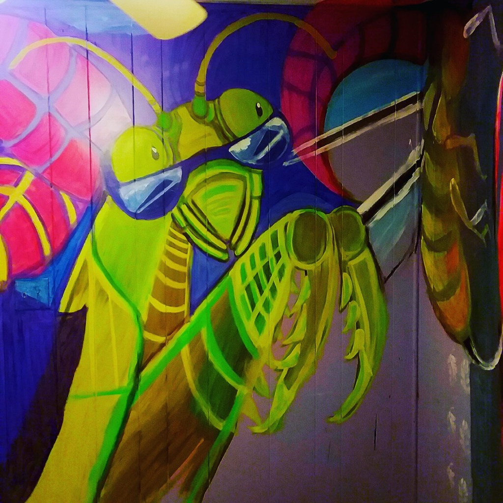 My Time to&nbsp;SHINE!!